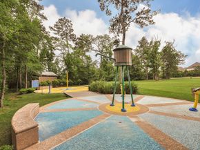 170 Black Swan Place, Magnolia TX 77354
