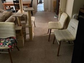 2513 Hazard Street 2511, Houston TX 77019