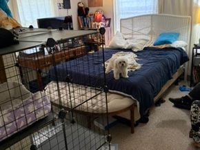 2513 Hazard Street 2511, Houston TX 77019