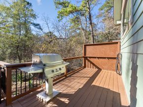 98 S Wilde Yaupon Court, Spring TX 77381