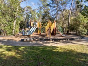 98 S Wilde Yaupon Court, Spring TX 77381