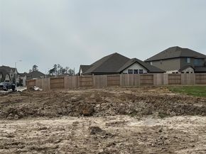 32503 Sweetgum Hollow Court, Spring TX 77386