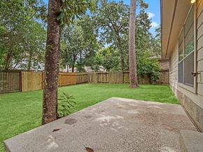 58 Misty Dawn Drive, Conroe TX 77385