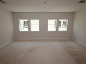 10619 Lemon Verbena Court, Cypress TX 77433