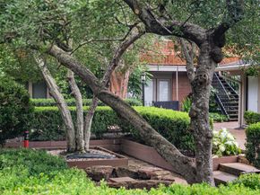 3926 W Alabama Street 1, Houston TX 77027