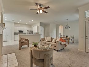 27 S Belfair Place, The Woodlands TX 77382
