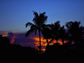 2167 Umbrella Cay, West Palm Beach FL 33411