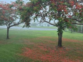 14701 Cumberland Drive 2080, Delray Beach FL 33446