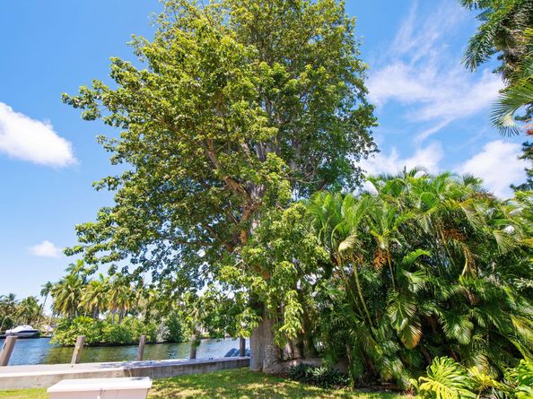 629 SW 8th Ter, Fort Lauderdale FL 33315