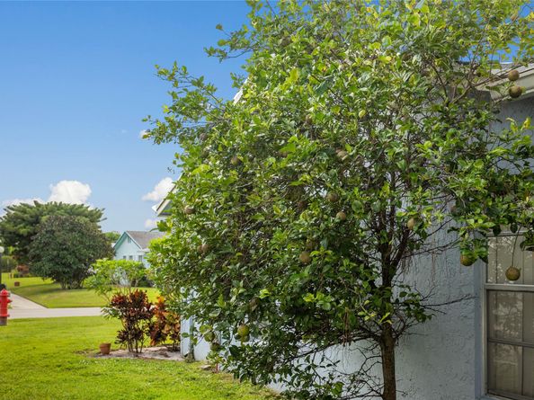 6301 Silver Moon Ln, Greenacres FL 33463