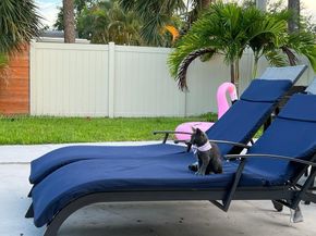 1940 NE 62nd Street, Fort Lauderdale FL 33308