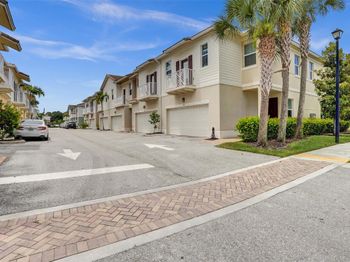 99 Palm Ln