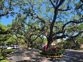 9491 Evergreen Pl 304, Davie FL 33324