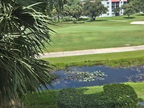 9491 Evergreen Pl 304, Davie FL 33324