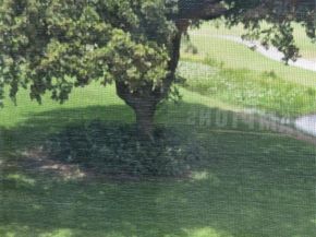 9491 Evergreen Pl 304, Davie FL 33324