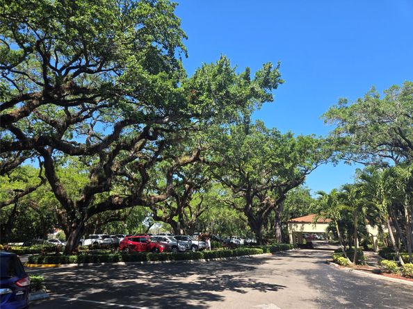 9491 Evergreen Pl 304, Davie FL 33324