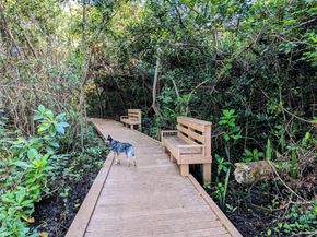 1717 SW 14th St, Fort Lauderdale FL 33312