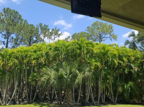 12263 Sandy Run, Jupiter FL 33478