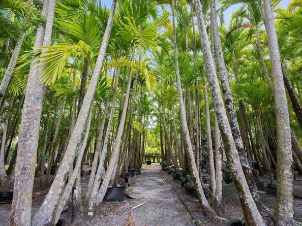 12263 Sandy Run, Jupiter FL 33478