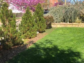 4114 Emery Place NW, Washington DC 20016