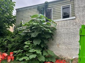 3111 Euclid Avenue, Philadelphia PA 19121