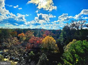 4201 Cathedral Avenue NW 1209W, Washington DC 20016