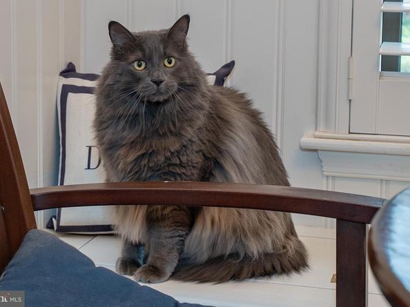 620 Washington Place 20, Chesterbrook PA 19087