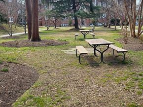 236 Farragut Street NW H203, Washington DC 20011