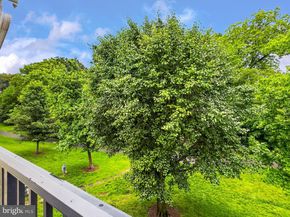 116 N Bedford Street B, Arlington VA 22201