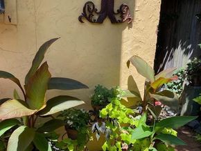 230 Morris Street, Philadelphia PA 19148