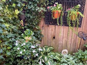 230 Morris Street, Philadelphia PA 19148