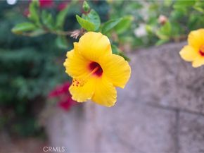 5212 Crimson Place, Rancho Cucamonga CA 91739