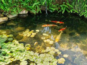 13518 Earlham Drive, Whittier CA 90602