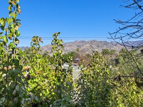 1310 E Orange Grove Boulevard 314, Pasadena CA 91104