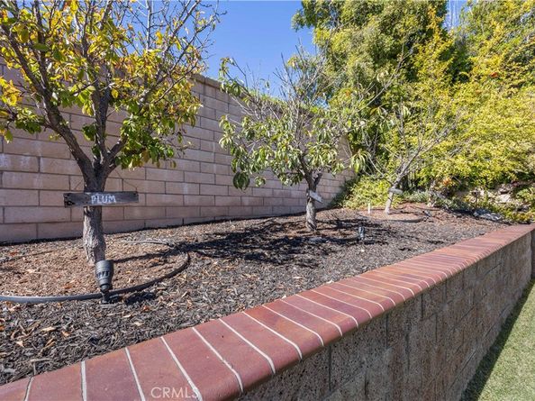 9 Swallows, Trabuco Canyon CA 92679