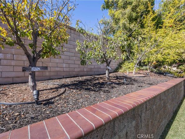 9 Swallows, Trabuco Canyon CA 92679