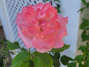 1085 S Sundance Drive, Anaheim Hills CA 92808