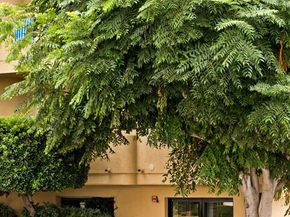 1811 Manning Avenue 101, Los Angeles CA 90025