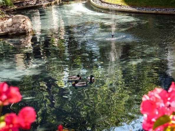 10104 Empyrean Way 103, Los Angeles CA 90067