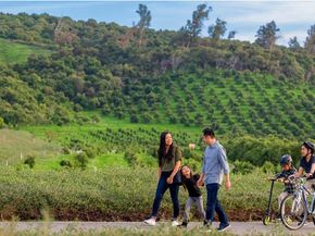 19 Rippling, Irvine CA 92603