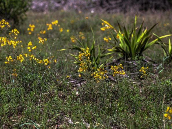 18333 Hidden Ridge PL, Leander TX 78645