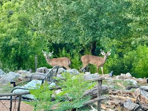 306 Tavish TRL, Austin TX 78738