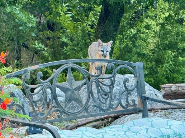 306 Tavish TRL, Austin TX 78738