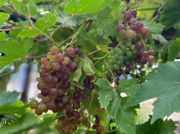 306 Tavish TRL, Austin TX 78738