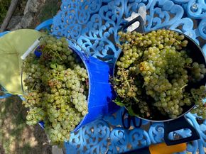 306 Tavish TRL, Austin TX 78738