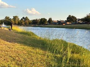 3113 Pasqueflower PASS, Pflugerville TX 78660