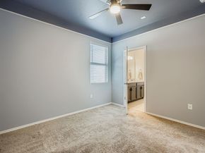 2008 Tasmanian Tiger TRCE, Austin TX 78728