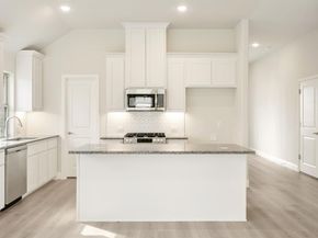 111  Whistling Duck Drive , Balch Springs Texas 75181