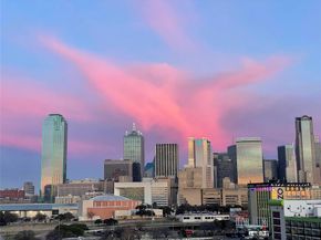 1001  Belleview Street  201, Dallas Texas 75215