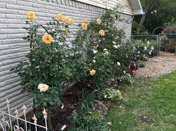 5608  Winifred Drive , Fort Worth Texas 76133